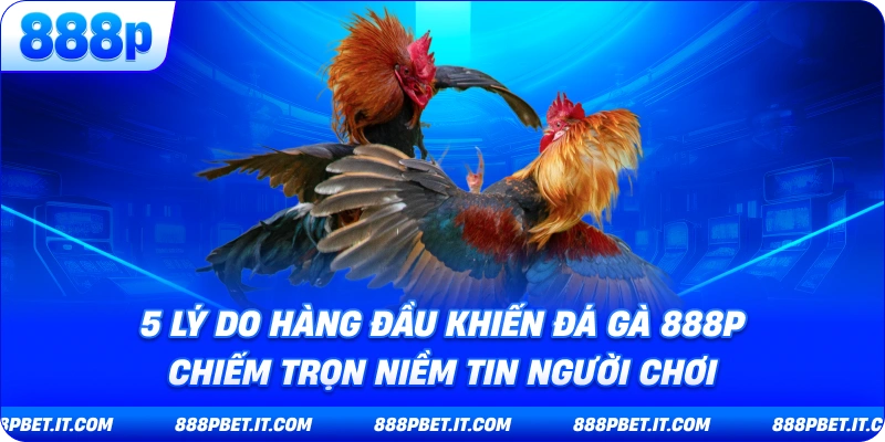 5 Lý Do Hàng Đầu Khiến Đá Gà 888P Chiếm Trọn Niềm Tin Người Chơi