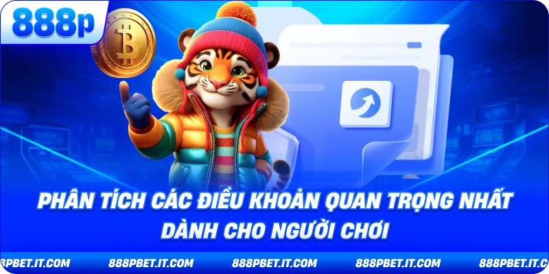 Phân Tích Các Điều Khoản Quan Trọng Nhất Dành Cho Người Chơi